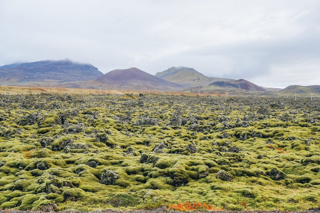 go west tours iceland