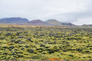 10 Must See Places in West Iceland - Iceland with a View