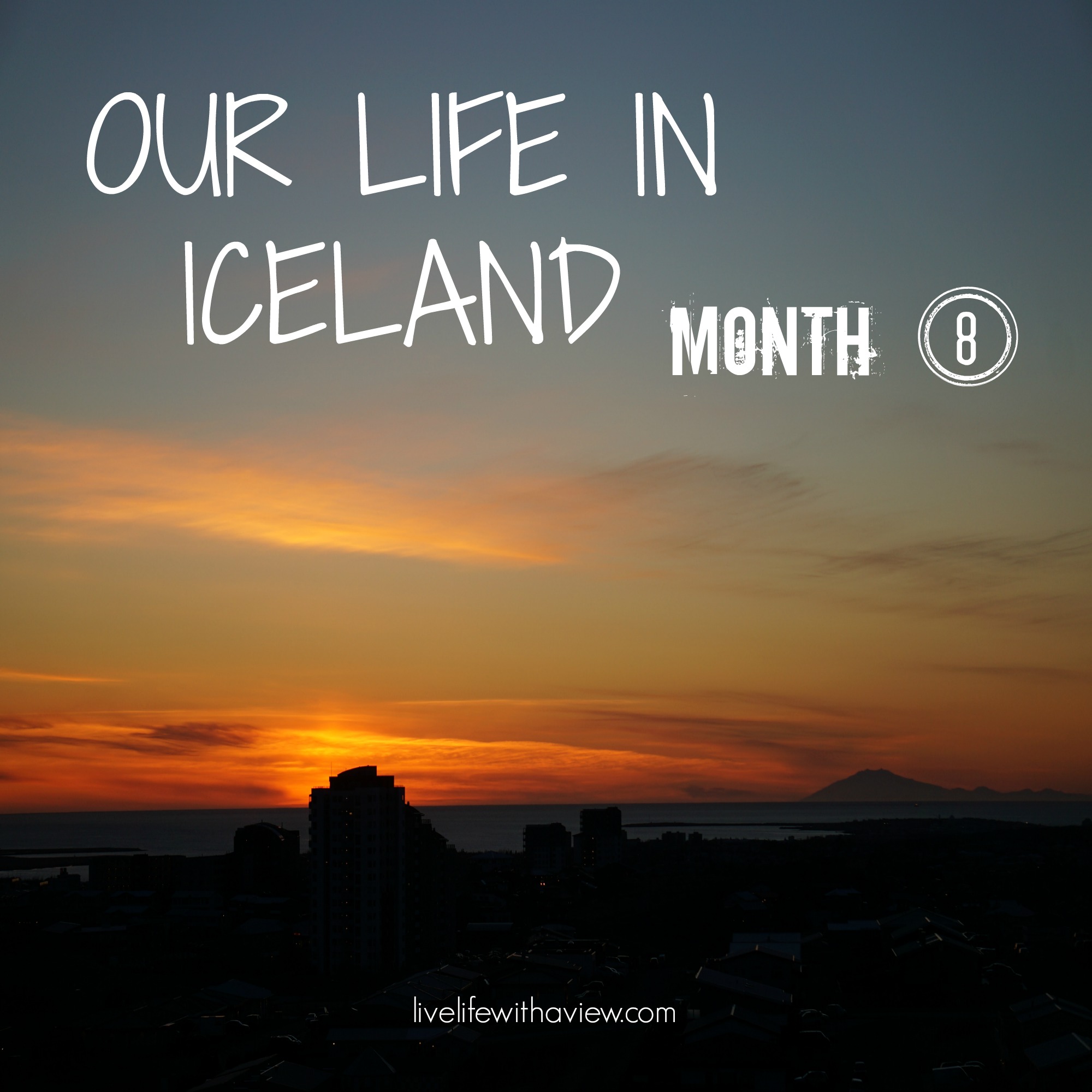 Our life in Iceland - Month 8