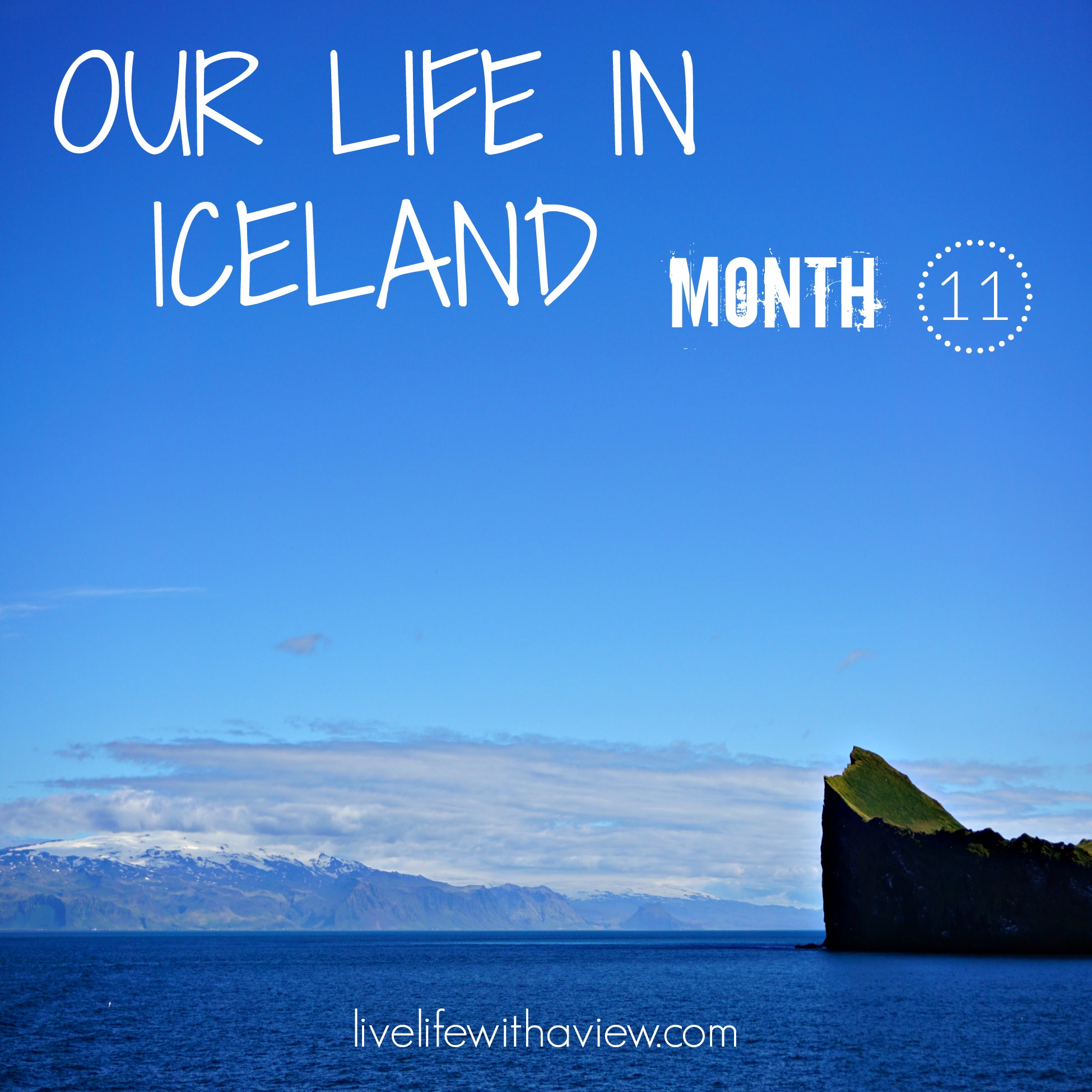 Our Life in Iceland - Month 11 | Life With a View