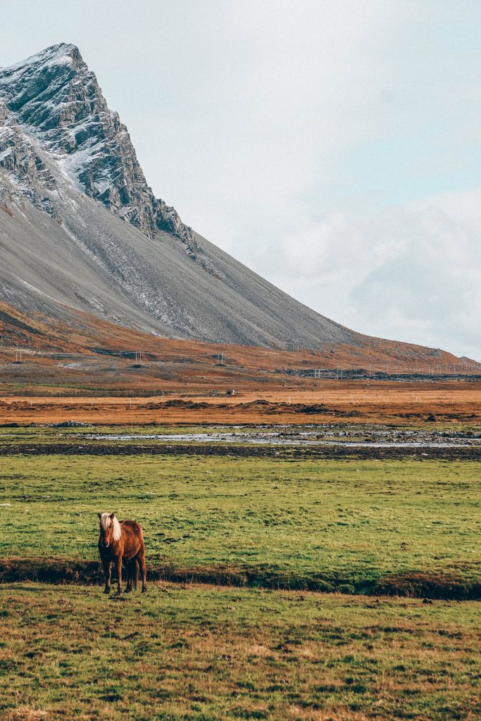 go west tours iceland