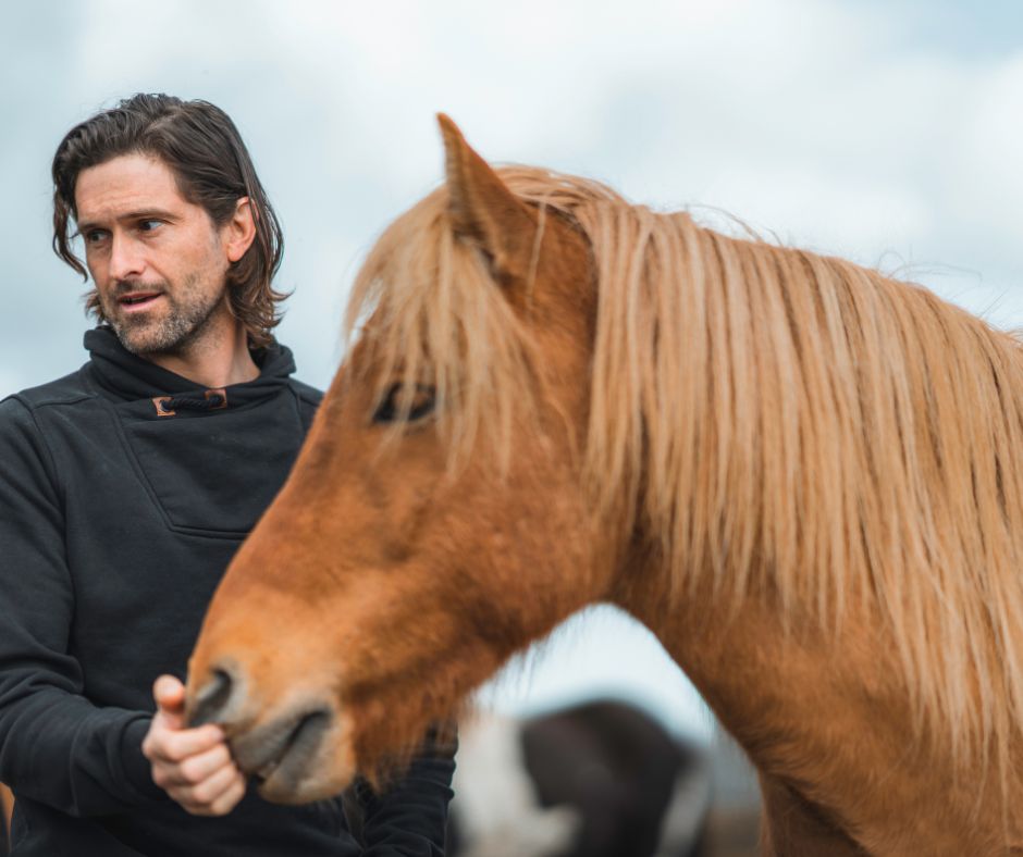 Picture of an Icelandic Horse in Hestaland, Iceland | Iceland with a View 