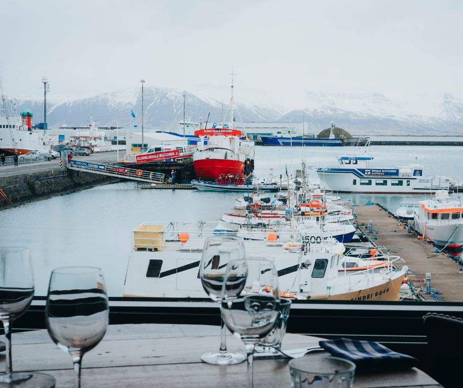 Picture of one of the Places you get to Visit while Doing the Iceland Food Walk Tour, Perfect Activity to with Kids in Iceland | Iceland with a View