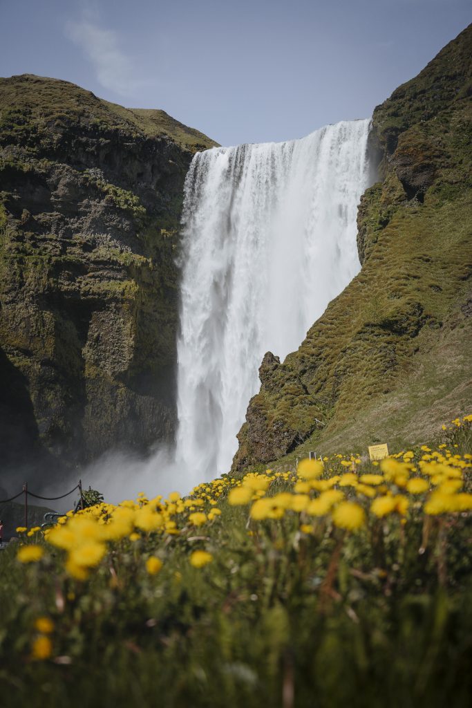 First day of summer in Iceland