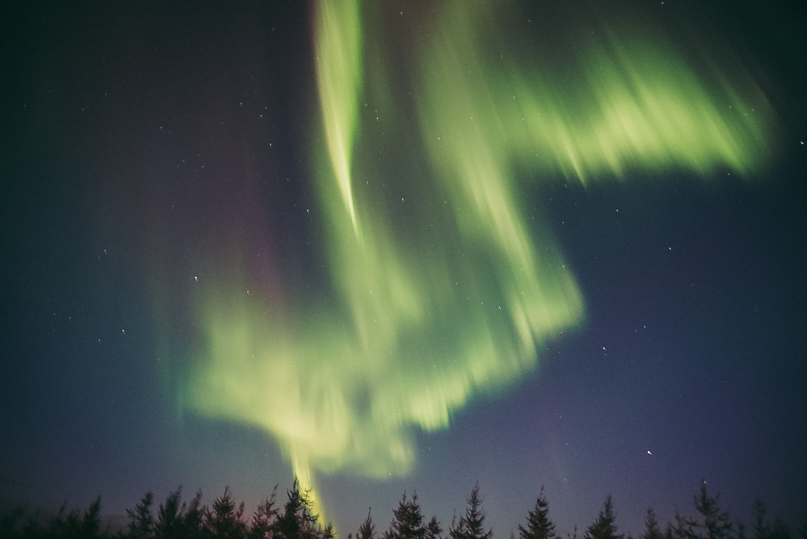 Northern lights: magic on our planet  What are they and how to see them? 