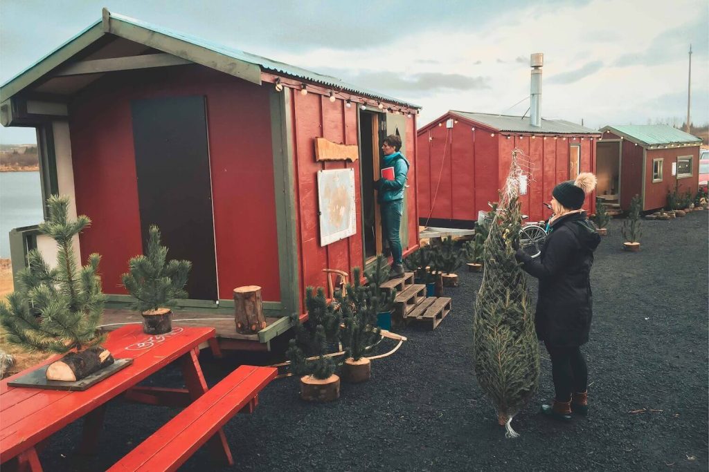 Picture of Jeannie Buying a Tree in the Christmas Markets for Christmas in Reykjavik | Iceland with a View 