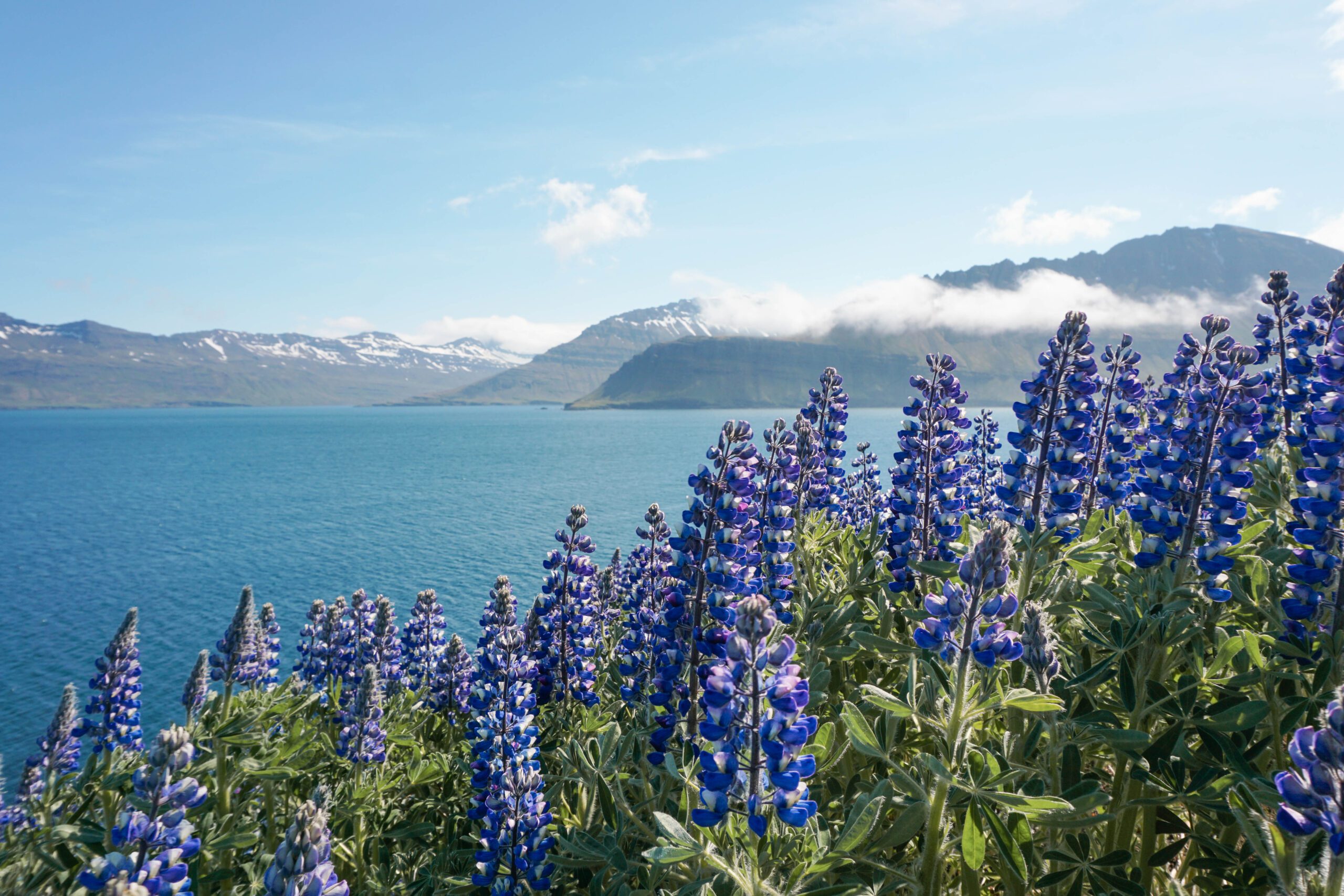 Ready for Summer in Iceland? Unlimited Hours to Explore, Amazing Sites & More