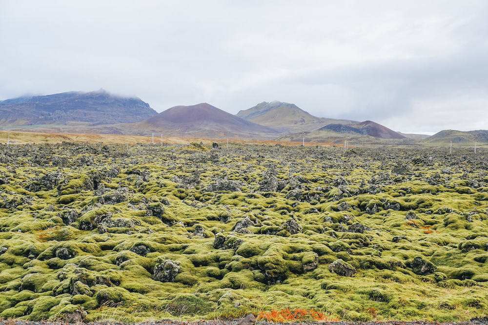 Picture of the Lava Field in Snaefellsnes in Iceland | Iceland Travel Guide PDF | Iceland with a View
