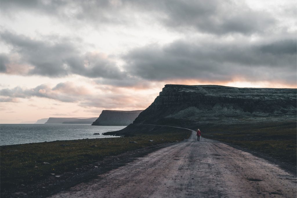 Landscape View of Látrabjarg in the Westfjords in Iceland | Iceland with a View
